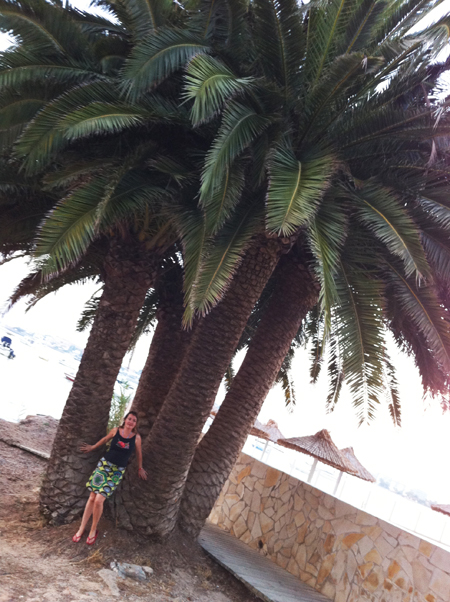 palmier geant