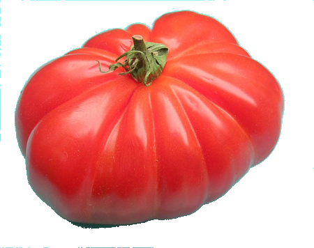 tomate fausse coeur de boeuf